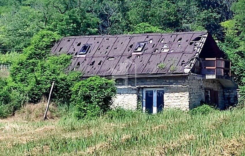 Pécsely Eladó Mezőgazdasági