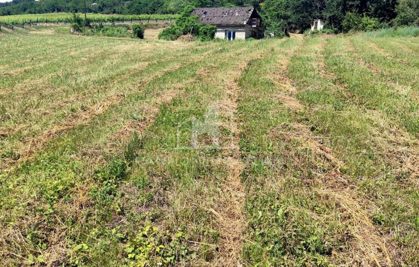 Pécsely Eladó Mezőgazdasági