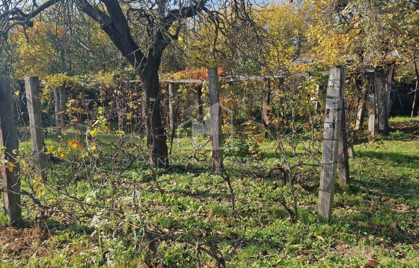 Bakonyszentlászló Eladó Ház