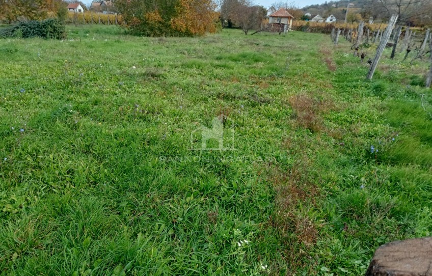 Somlószőlős Eladó Mezőgazdasági