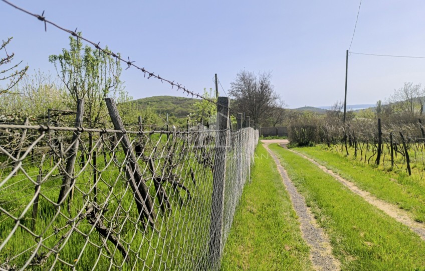 Felsőörs Eladó Telek Bicske utca