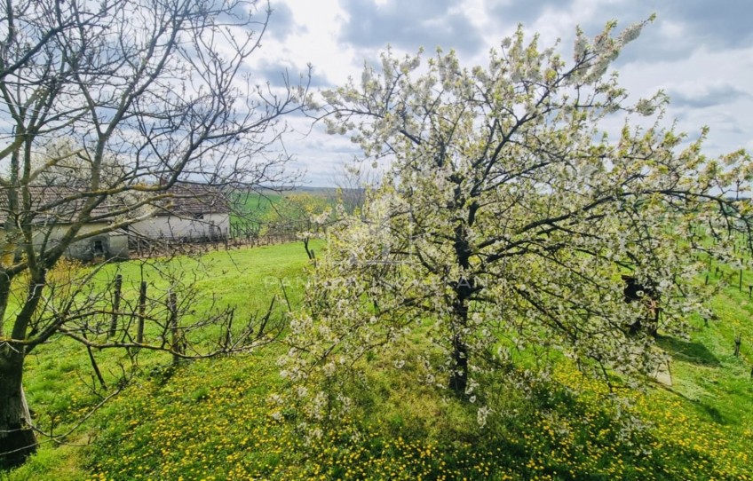 Somlójenő Eladó Telek