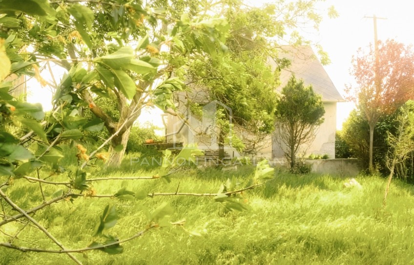 Várpalota Eladó Nyaraló Badacsony szőlő
