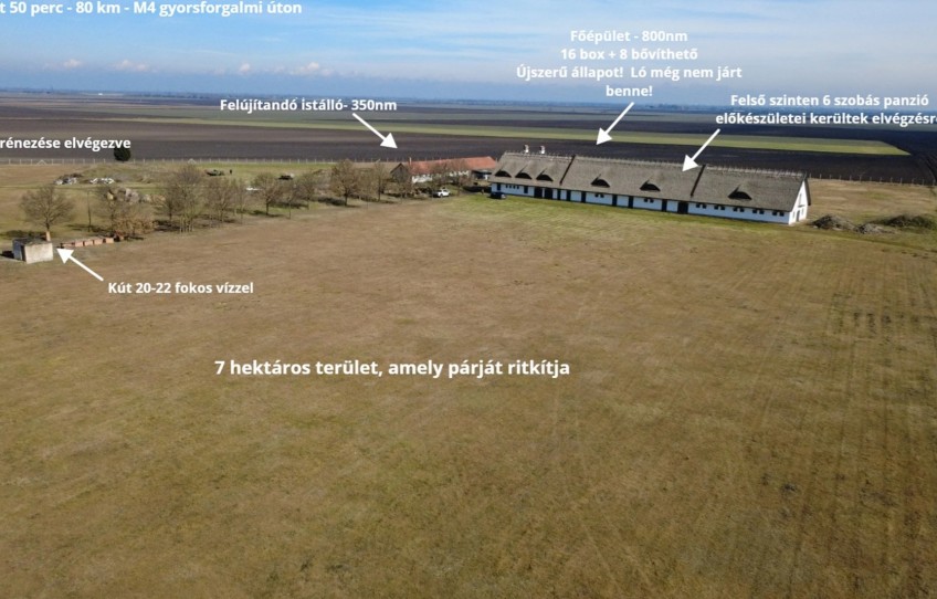 Abony Eladó Vendéglátás