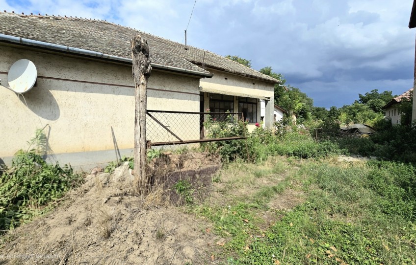 Tiszasas Eladó Ház