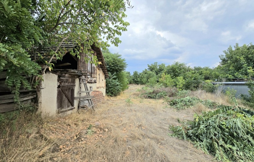 Tiszasas Eladó Ház