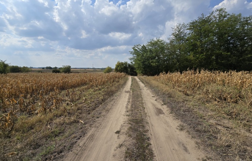Nagykőrös Eladó Telek