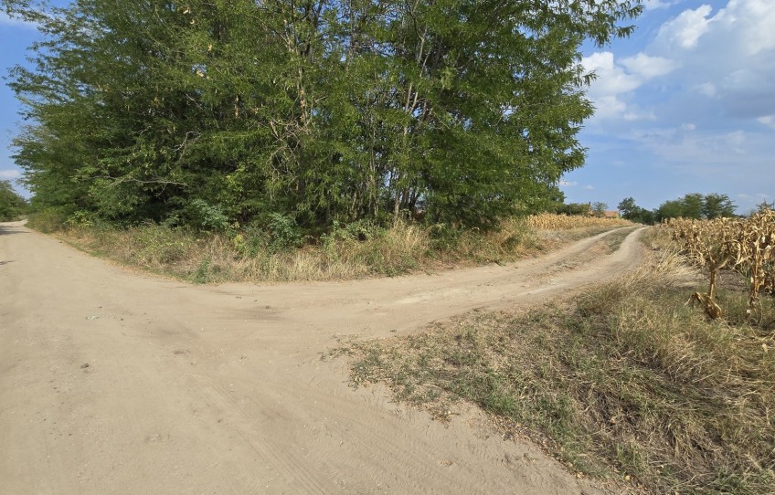 Nagykőrös Eladó Telek