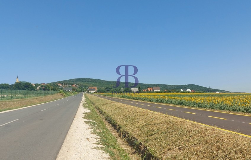 Nadap Eladó Telek Haladás út