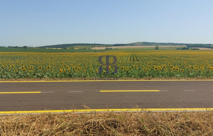 Nadap Eladó Telek Haladás út