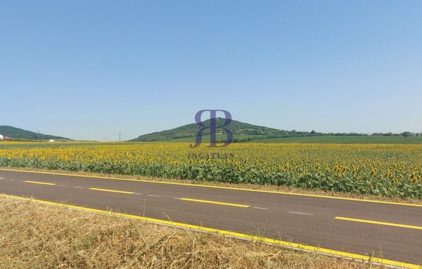 Nadap Eladó Telek Haladás út