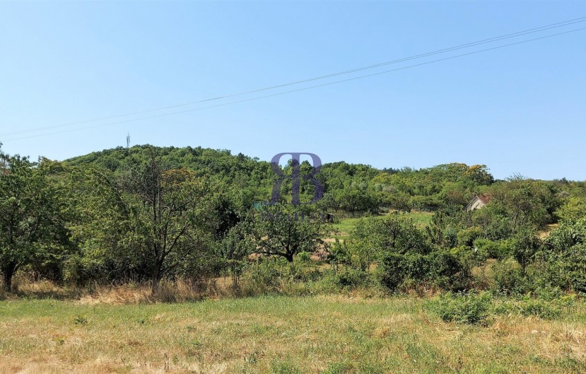 Nadap Eladó Telek Haladás út