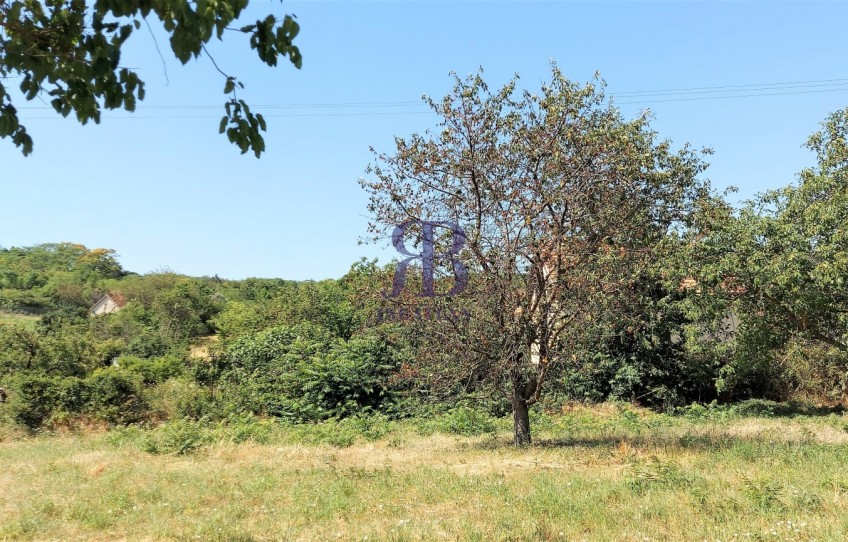 Nadap Eladó Telek Haladás út