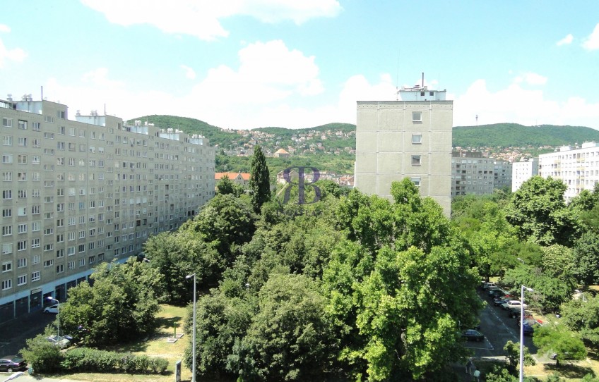 Budapest III. kerület Kiadó Lakás Pacsirtamező utca