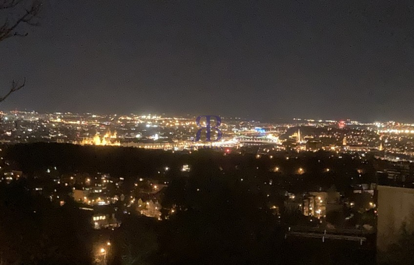 Budapest II. kerület Kiadó Lakás Szalamandra köz