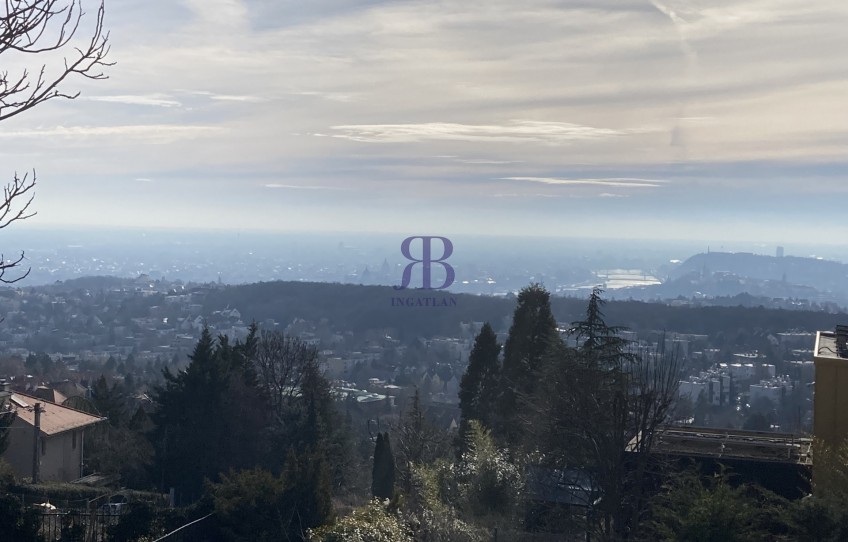 Budapest II. kerület Kiadó Lakás Szalamandra köz