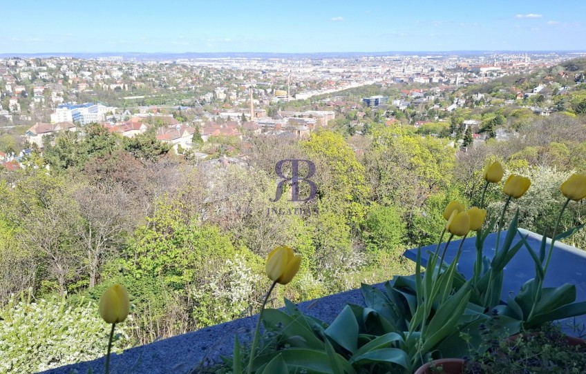 Budapest XII. kerület Kiadó Lakás Zsolna utca