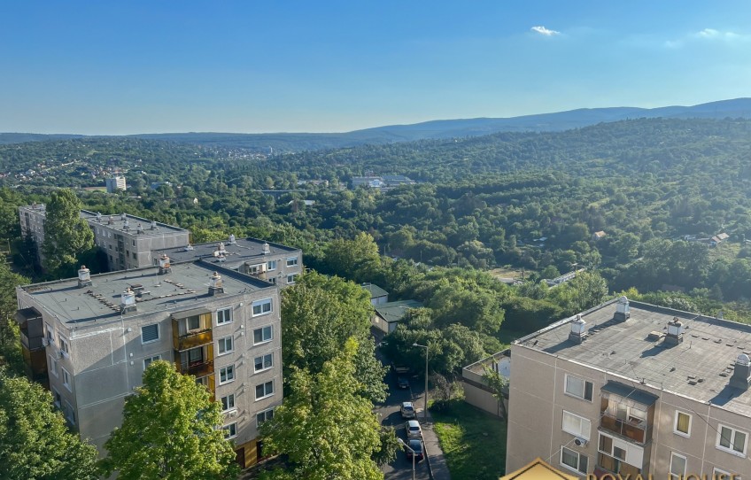 Miskolc Eladó Lakás Mednyánszky László utca