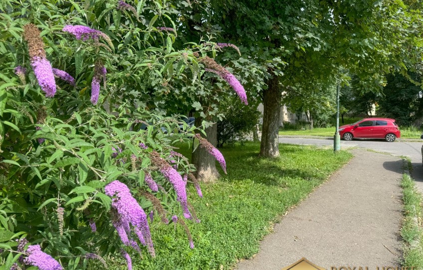 Miskolc Eladó Lakás Lányi Ernő utca