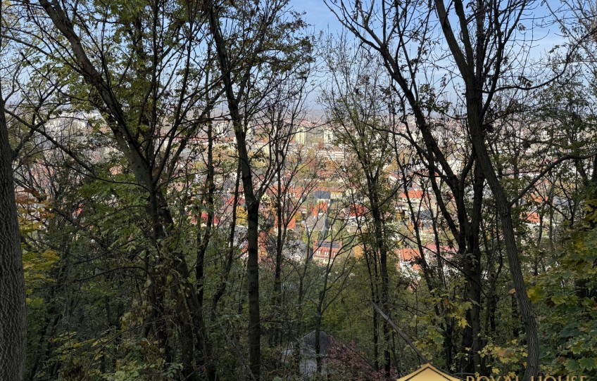 Miskolc Eladó Mezőgazdasági Nagy-Avas felső sor