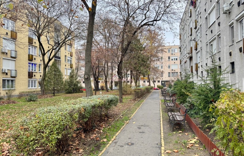 Budapest XX. kerület Kiadó Lakás Nagy Győri István köz