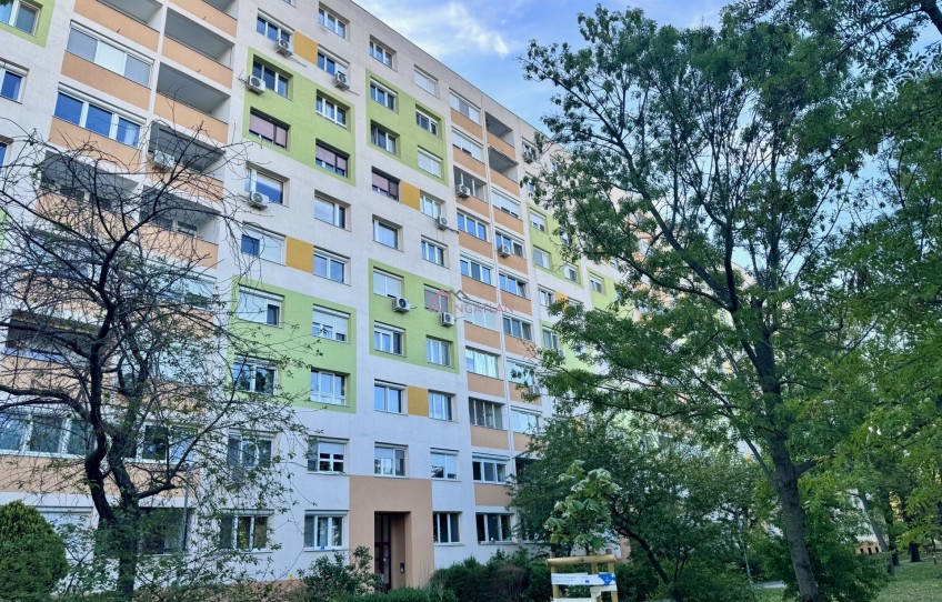 Budapest XI. kerület Kiadó Lakás