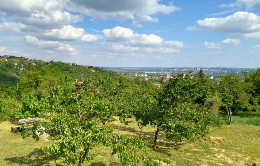 Pécs Eladó Ház