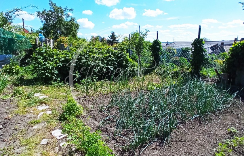 Pécs Eladó Ház Erzsébet utca