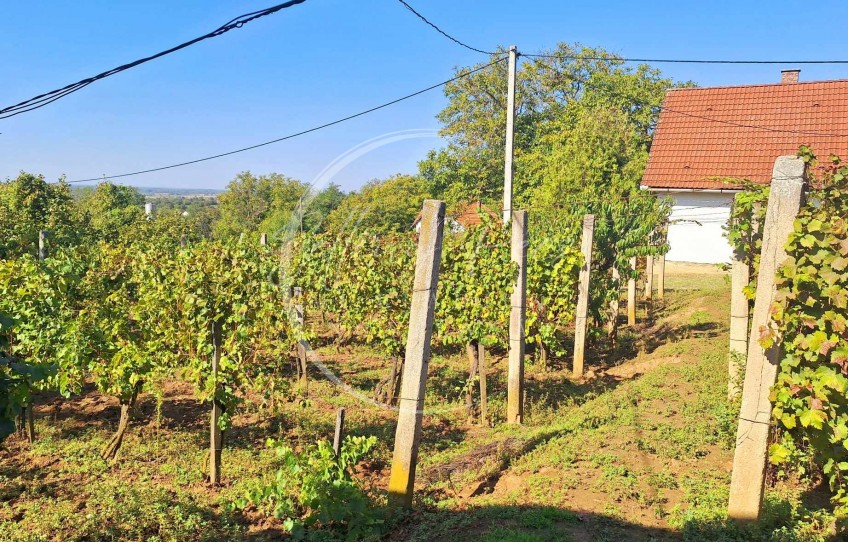 Siklós Eladó Nyaraló Csukma dűlő