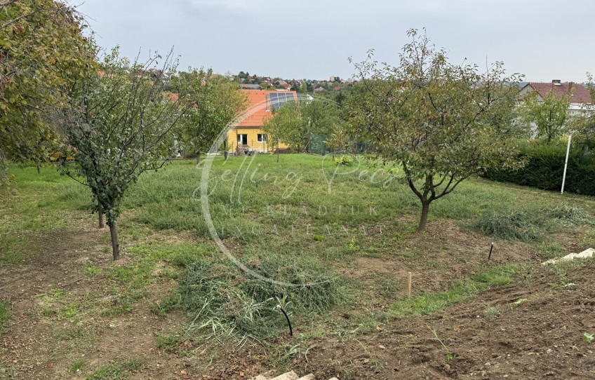 Pécs Eladó Lakás