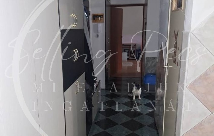 Pécs Eladó Lakás Illyés Gyula út