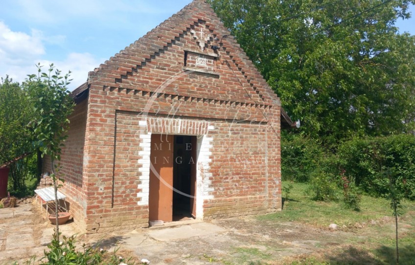 Basal Eladó Mezőgazdasági
