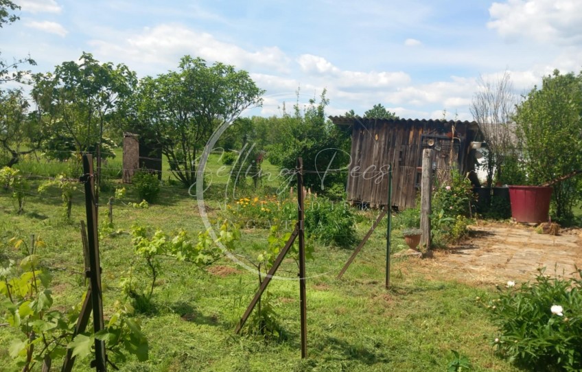 Basal Eladó Mezőgazdasági