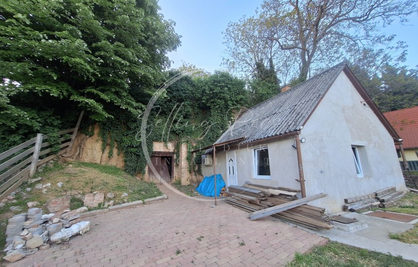 Siklós Eladó Mezőgazdasági