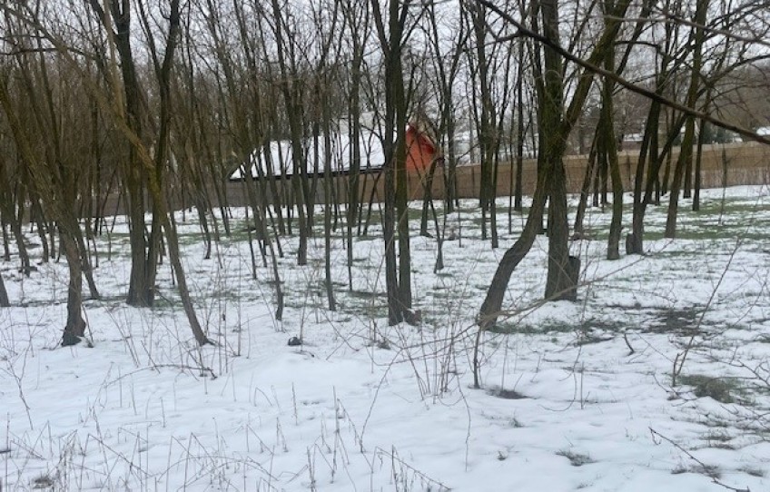 Nyíregyháza Eladó Telek Aranyhomok utca