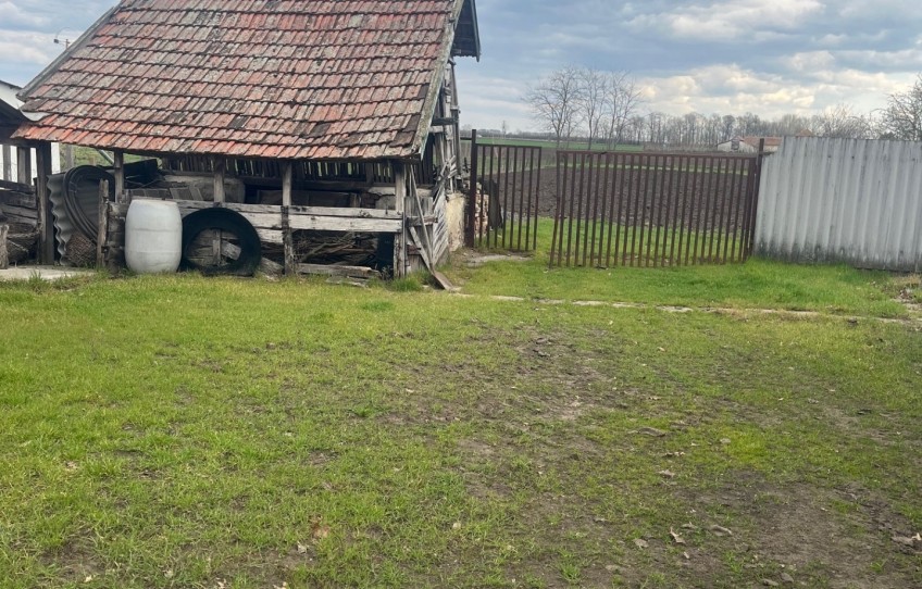 Csanádapáca Eladó Ház