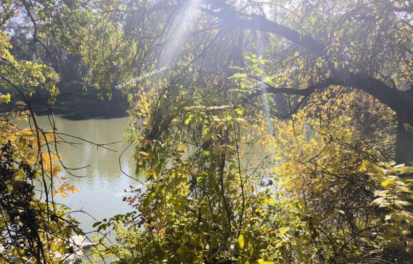 Nagykörű Eladó Mezőgazdasági