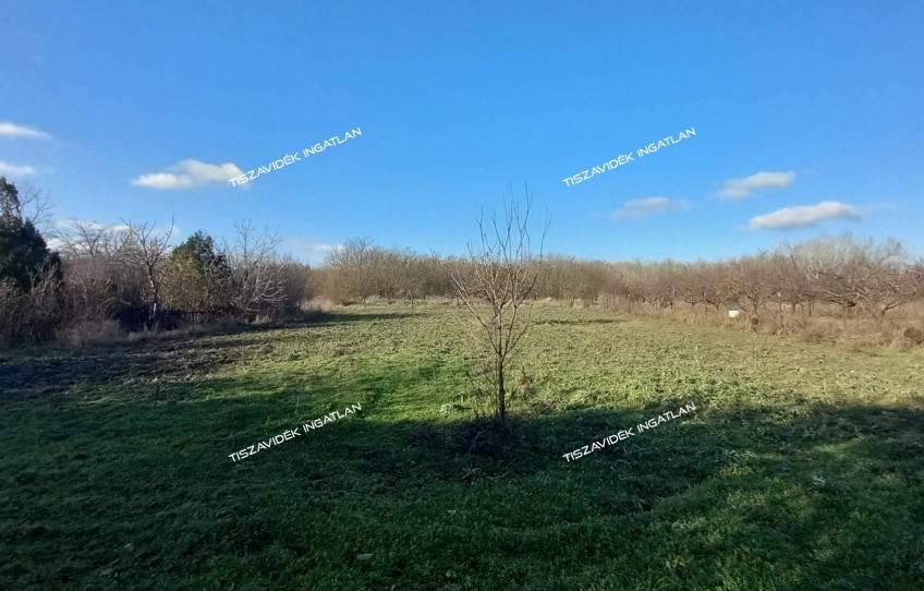 Nagykörű Eladó Ház