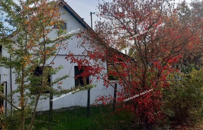 Tiszasüly Eladó Ház Rákóczi út