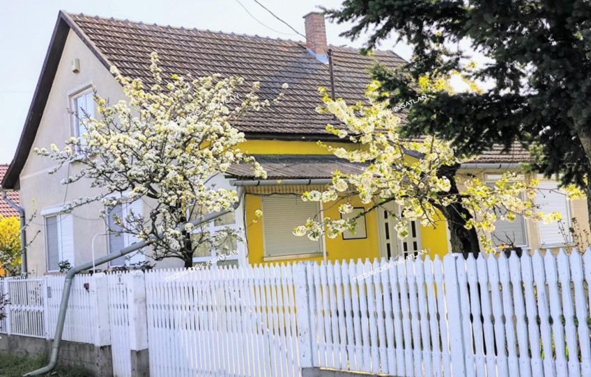 Nagykörű Eladó Ház Ady Endre út