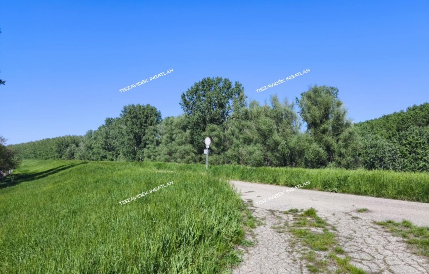 Nagykörű Eladó Ház Vörösmarty út
