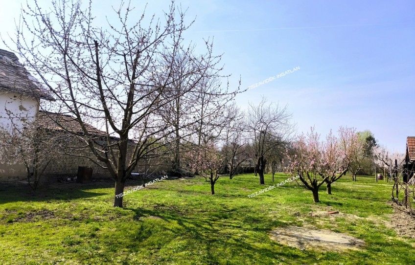 Nagykörű Eladó Ház Arany János út