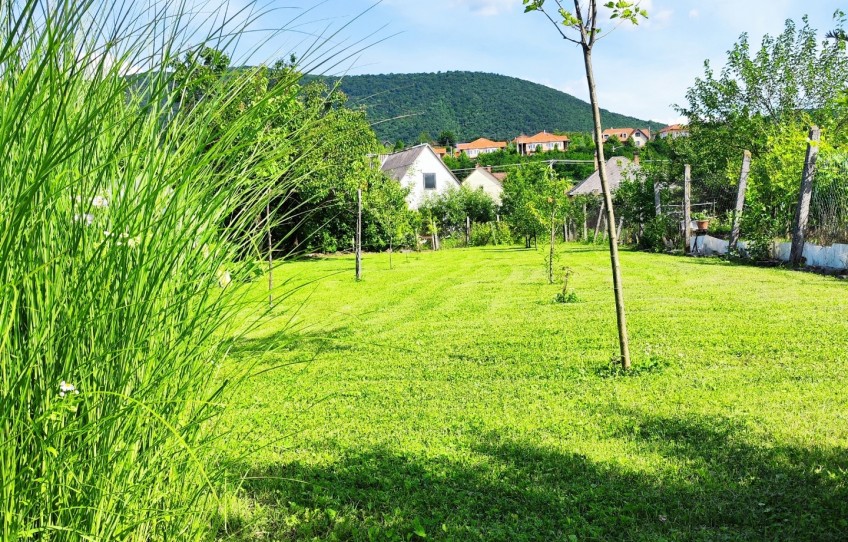 Felsőtárkány Eladó Lakás Fő út