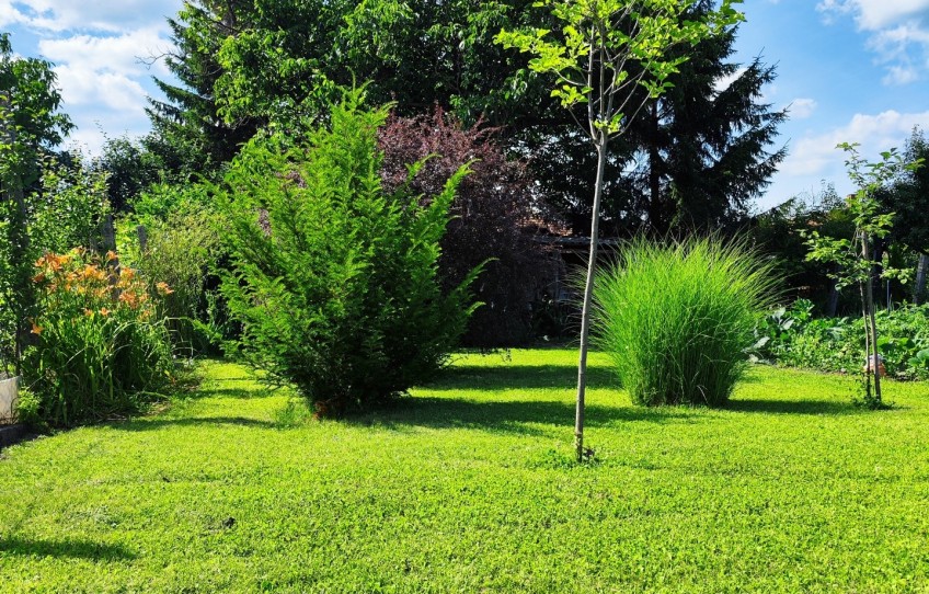 Felsőtárkány Eladó Lakás Fő út