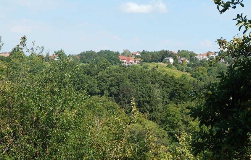 Zalaegerszeg Eladó Nyaraló