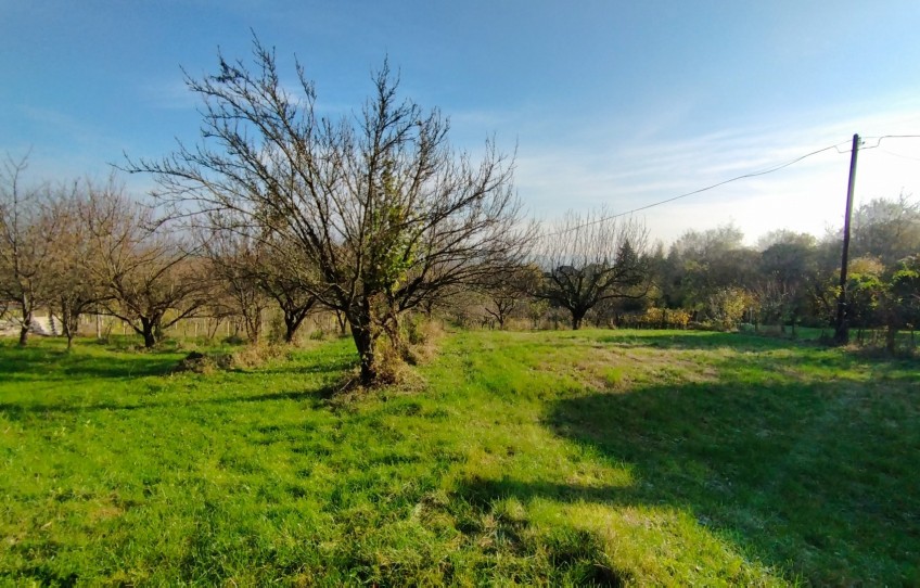 Zalaszentgrót Eladó Nyaraló