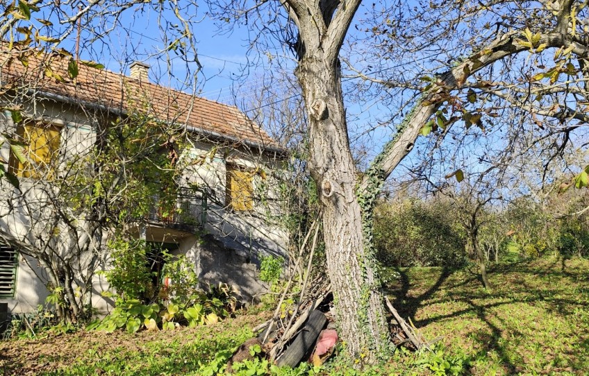 Vindornyaszőlős Eladó Nyaraló