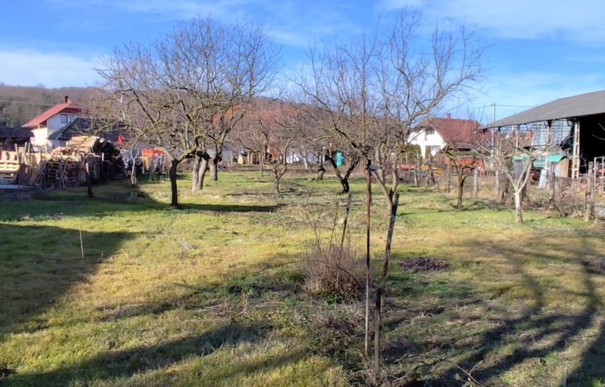 Kehidakustány Eladó Ház