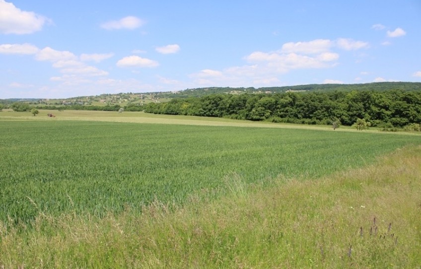 Tagyon Eladó Mezőgazdasági külterület