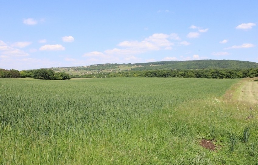 Tagyon Eladó Mezőgazdasági külterület